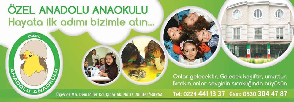 Özel Anadolu Anaokulu Bursa/Nilüfer